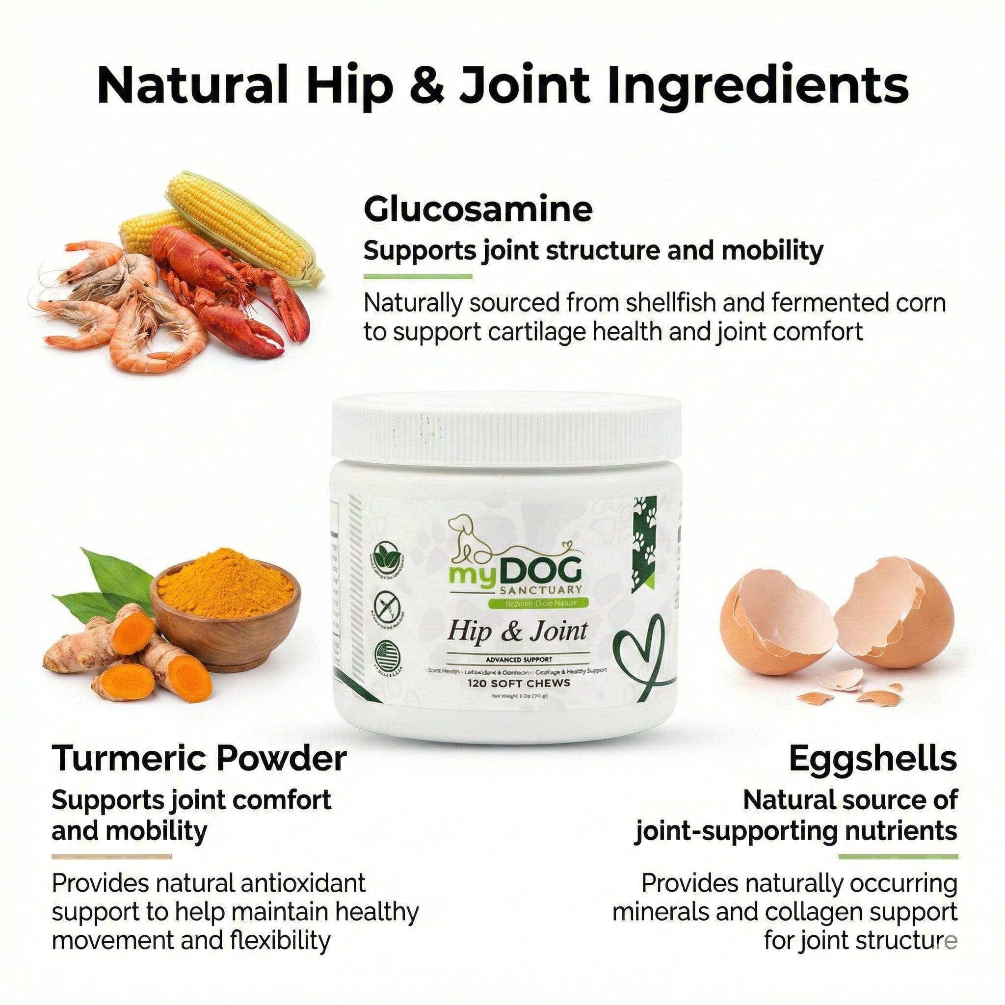 Sacred Steps Hip & Joint Support Chews – Dog Supplements | Doggo Dream Shop