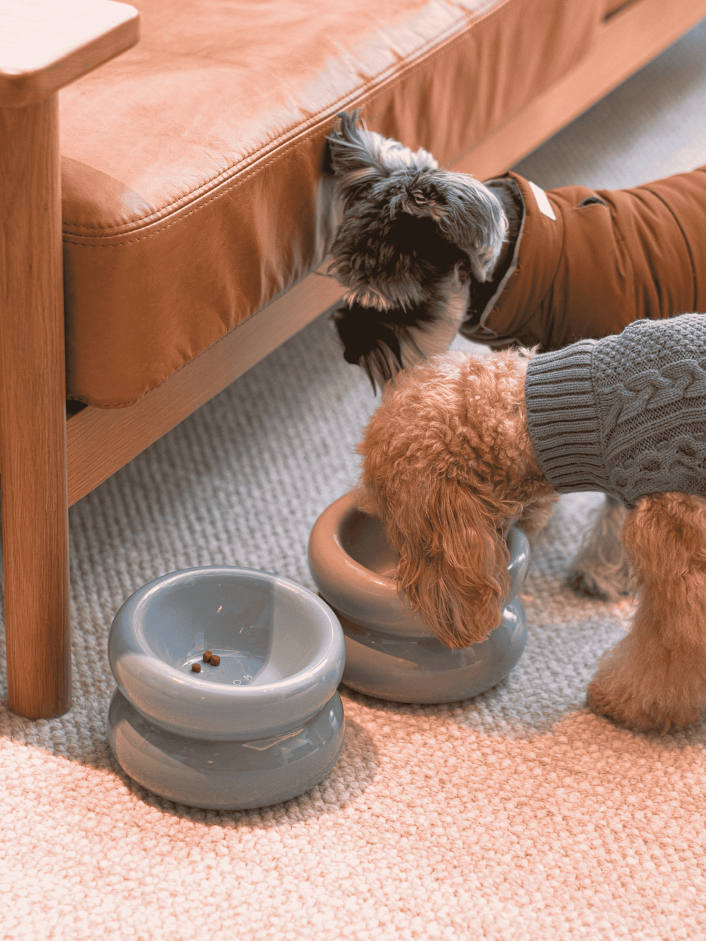 Soufflé Ceramic Dog Bowl – Frozen Blue