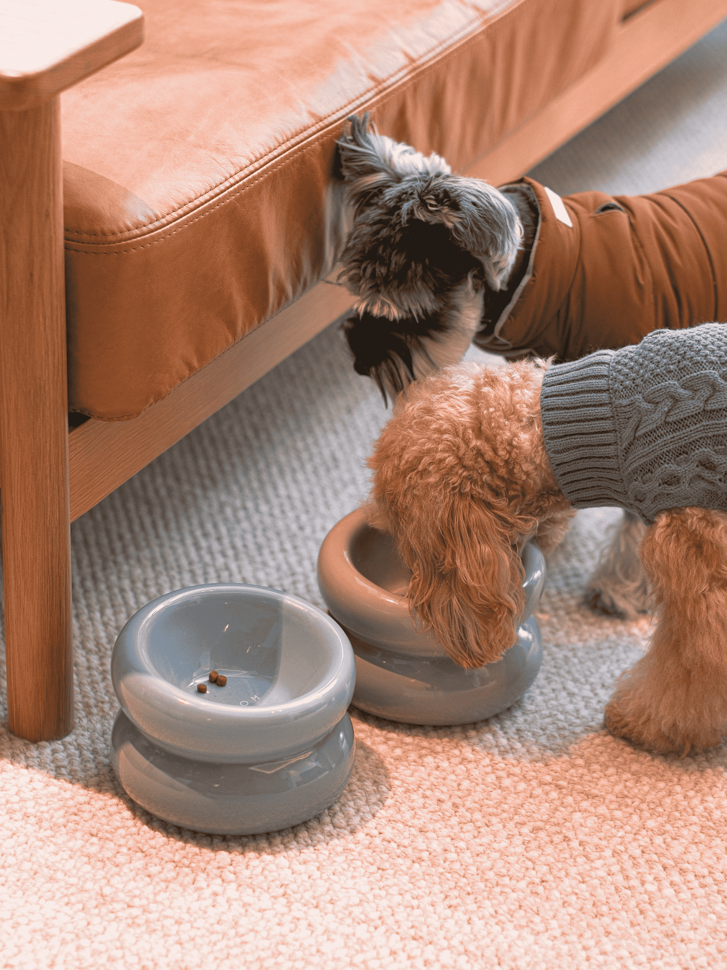 Soufflé Ceramic Dog Bowl – Frozen Blue