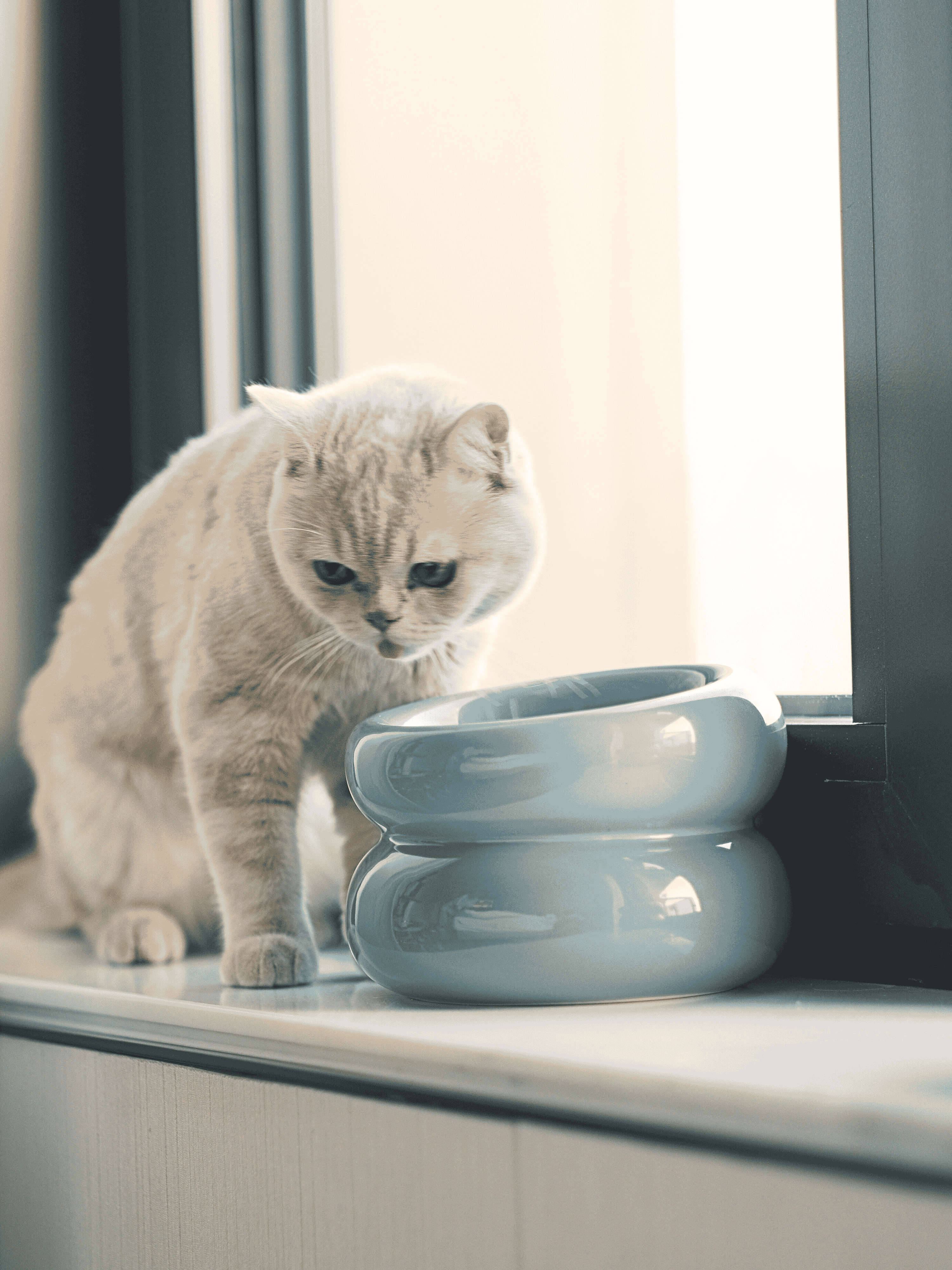Soufflé Ceramic Dog Bowl – Frozen Blue
