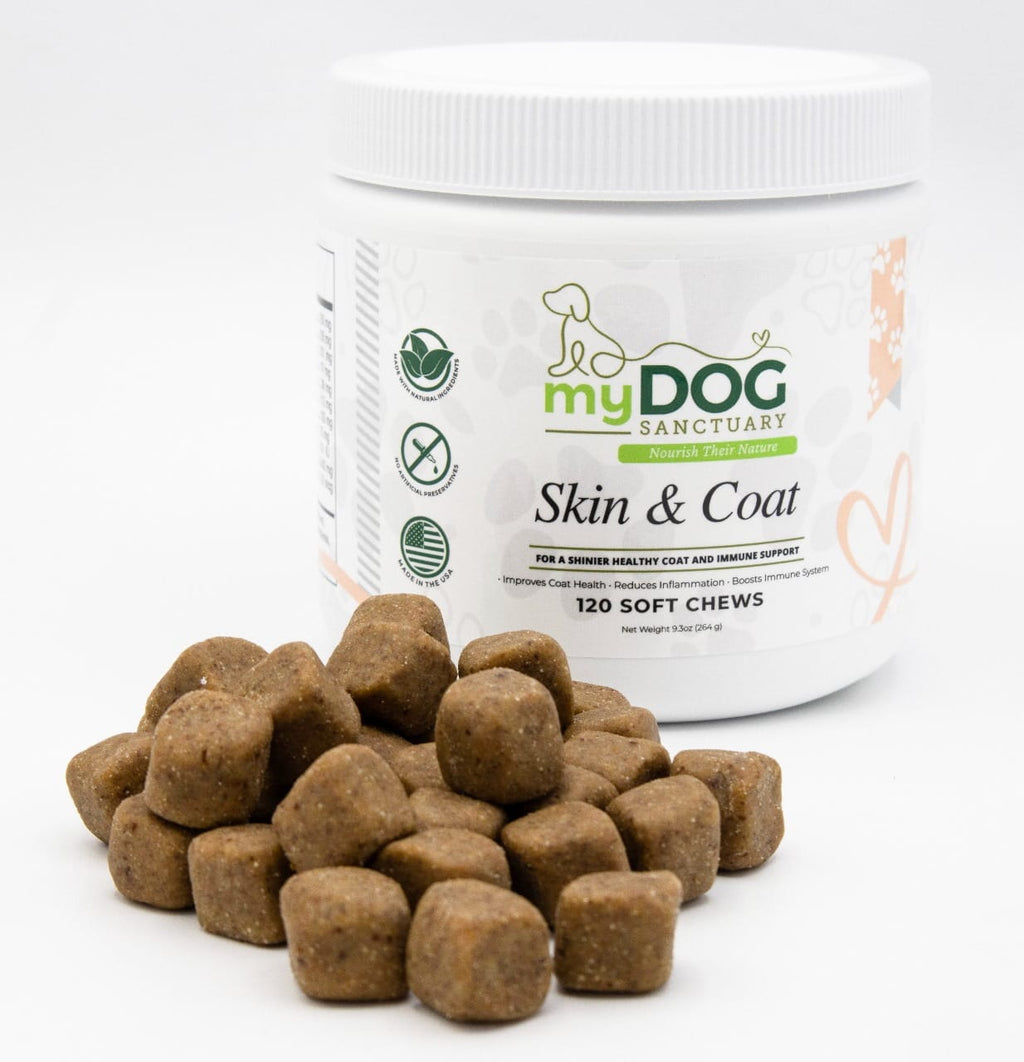 Radiant Refuge Skin & Coat Chews – Dog Supplements | Doggo Dream Shop
