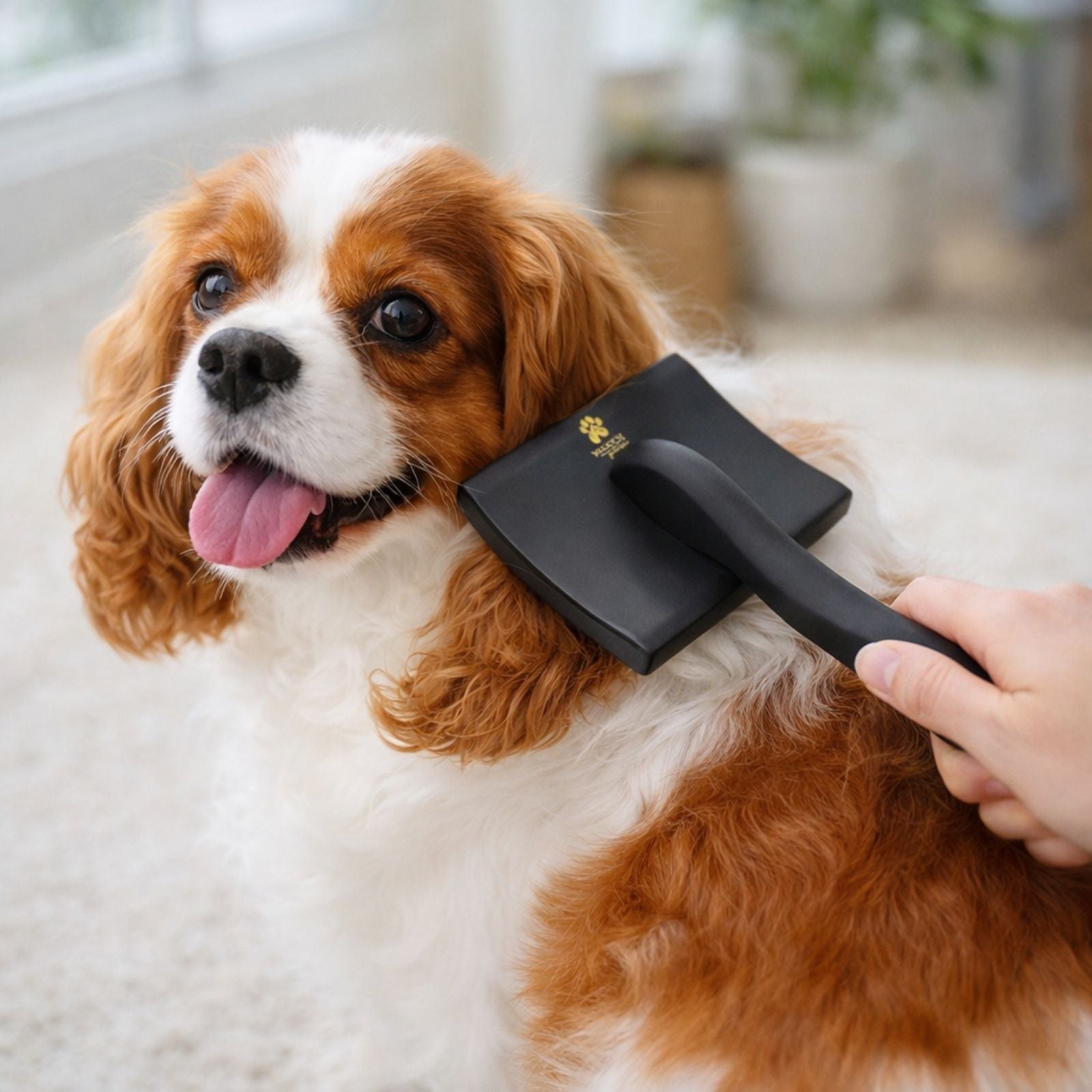Dog Slicker Brush – Comfort Glide Pins for All Coat Types | Wasatch Pup