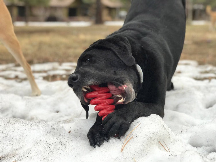 Christmas Tree Nylon Dog Chew Toy for Aggressive Chewers | USA Made