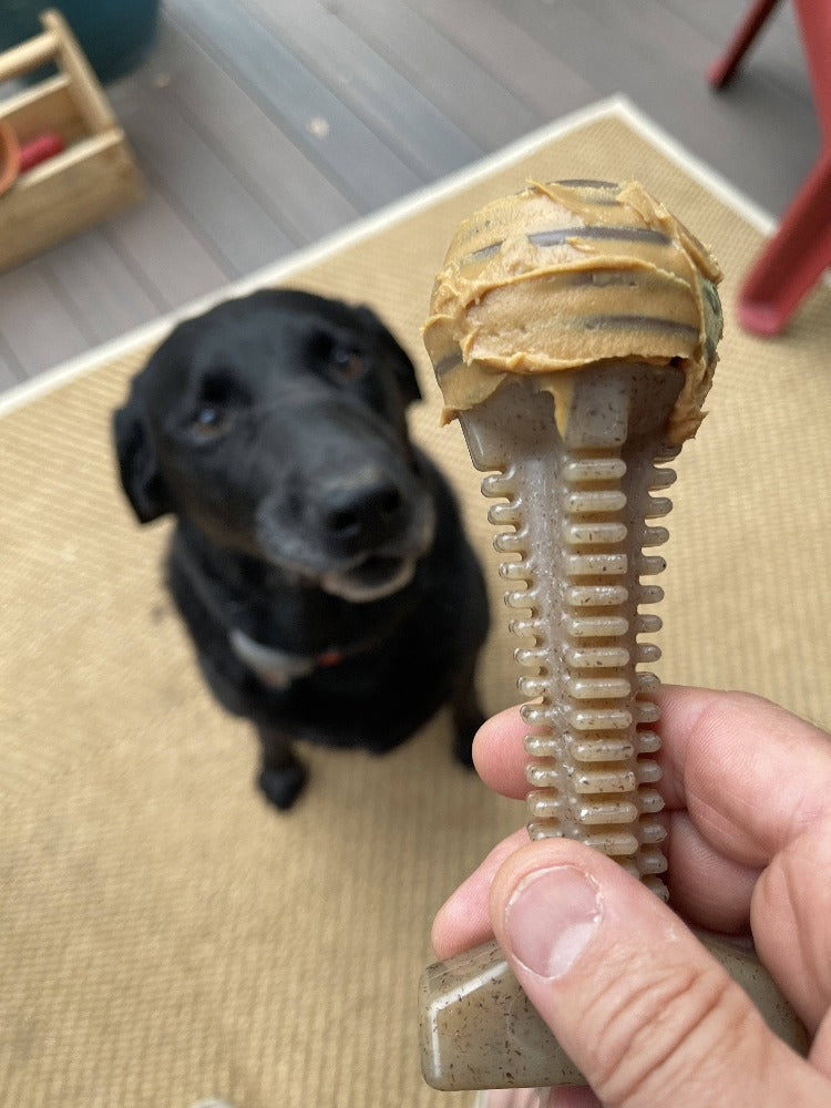 Honey Bone Dental Tower Nylon Dog Chew Toy for Aggressive Chewers | USA Made