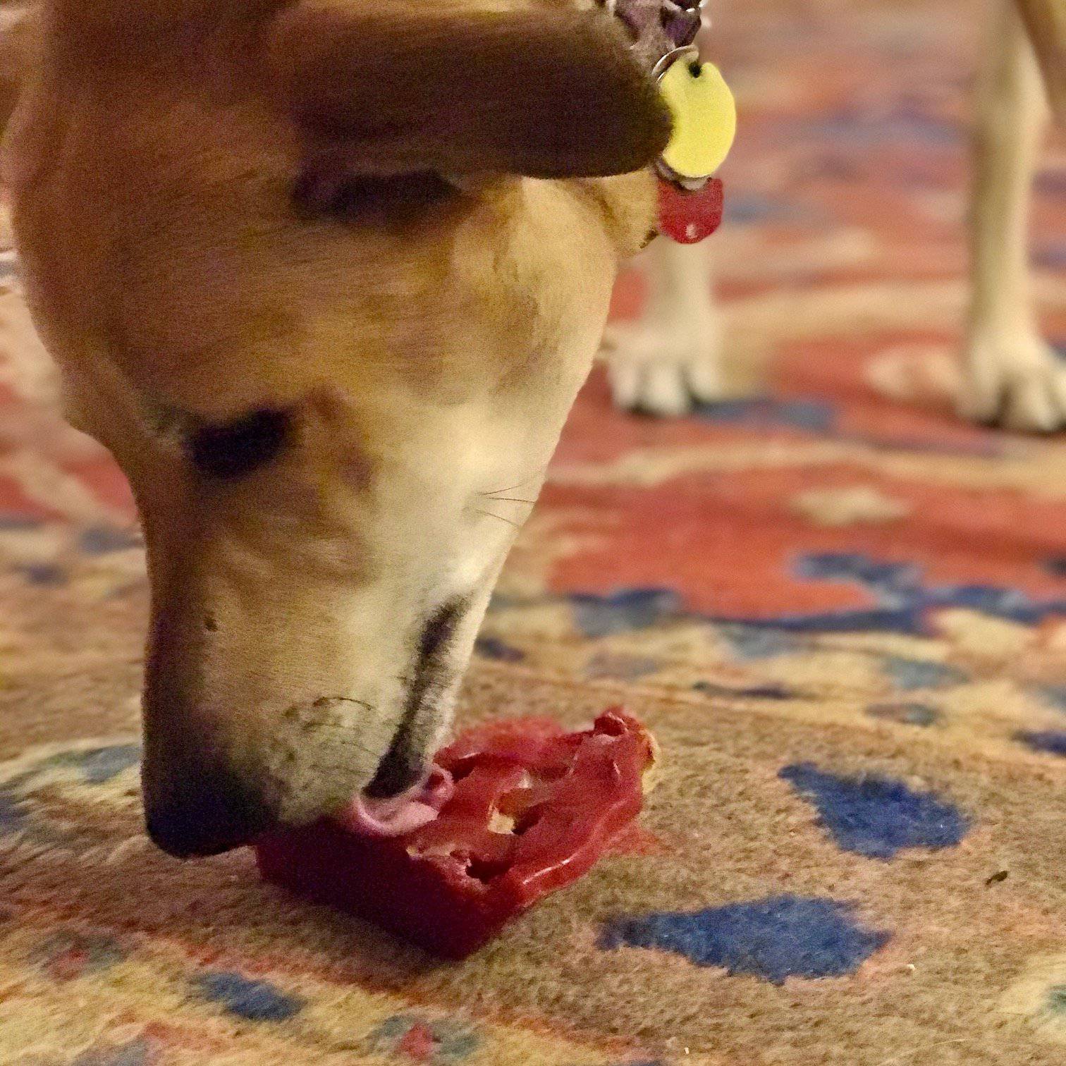 Cherry Pie Nylon Dog Chew Toy & Treat Holder for Aggressive Chewers | USA Made