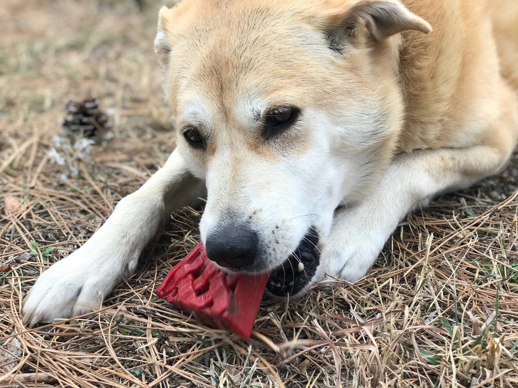 Cherry Pie Nylon Dog Chew Toy & Treat Holder for Aggressive Chewers | USA Made