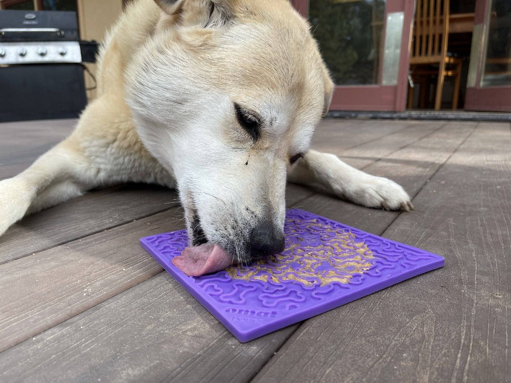 Bones eMat Enrichment Lick Mat for Dogs | USA Made