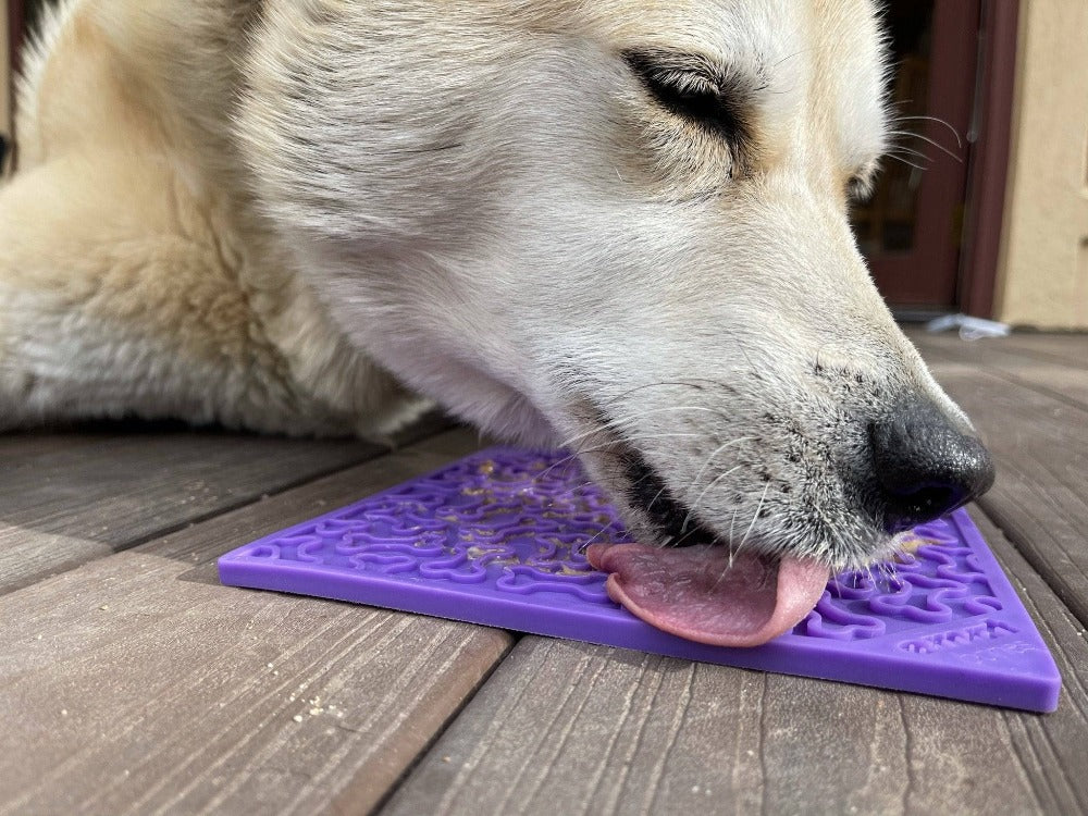 Bones eMat Enrichment Lick Mat for Dogs | USA Made