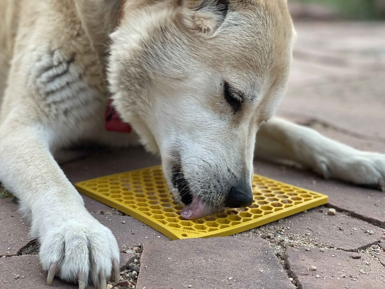 Honeycomb eMat Enrichment Lick Mat for Dogs | USA Made