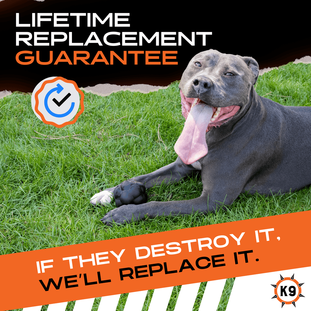 Rumble Ball Rubber Dog Toy for Aggressive Chewers | Monster K9