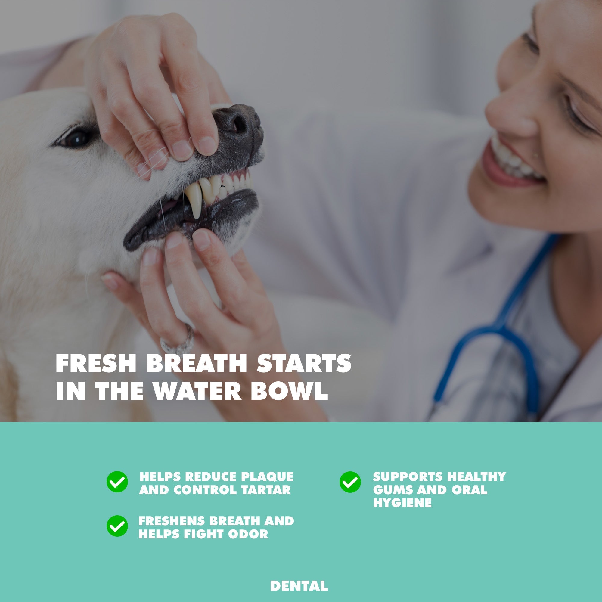 UBAVET Dental Care Water Additive for Dogs & Cats (16 fl oz)