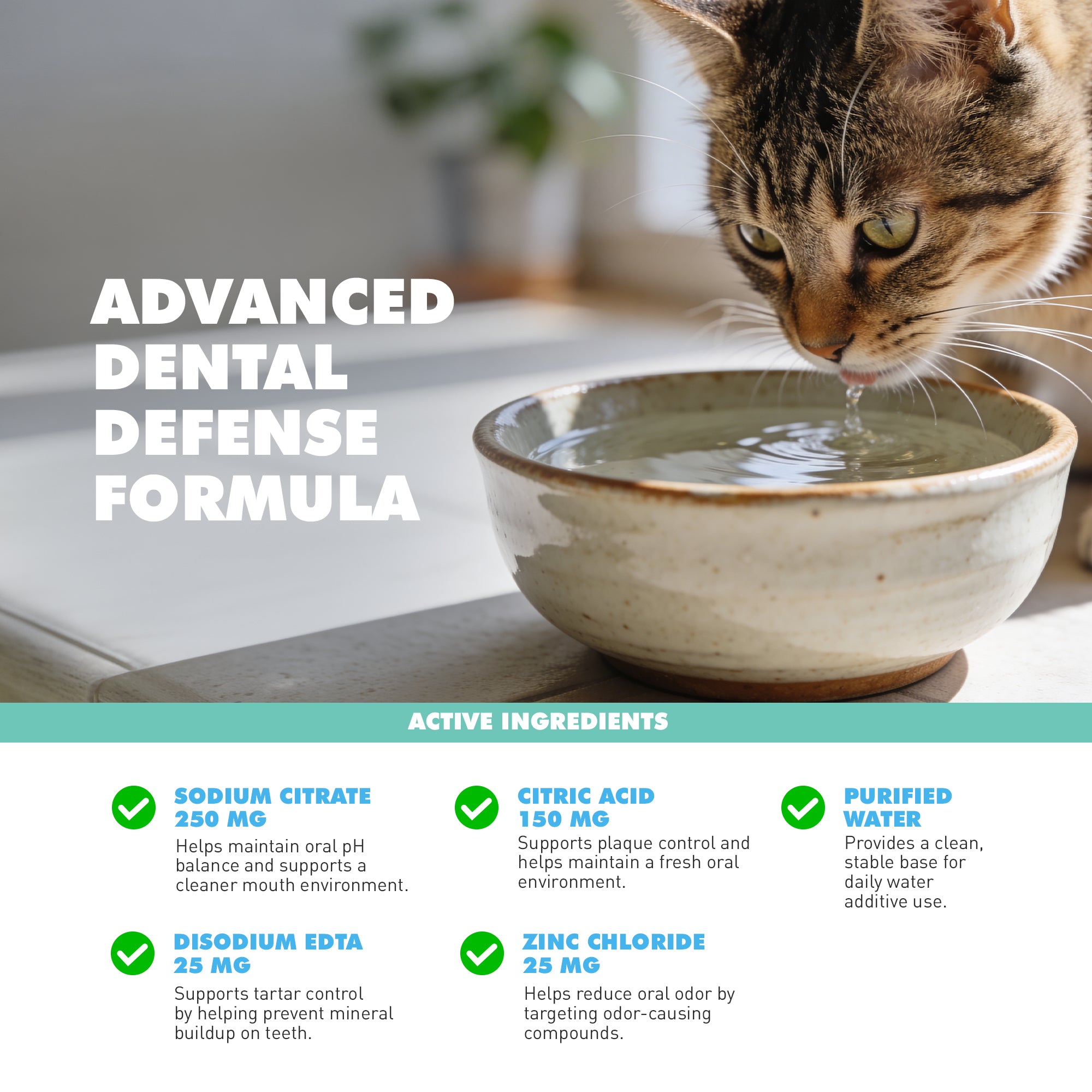 UBAVET Dental Care Water Additive for Dogs & Cats (16 fl oz)