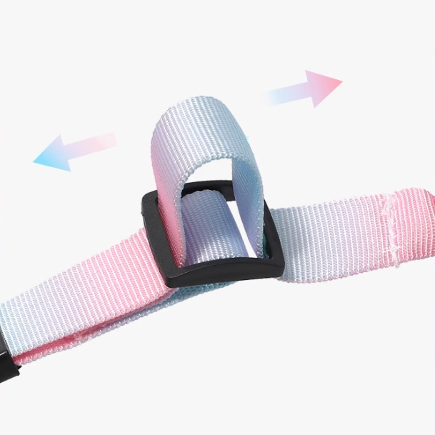 Adjustable Pet Car Seat Belt – Elastic Safety Belt for Dogs | Milou & Lumi