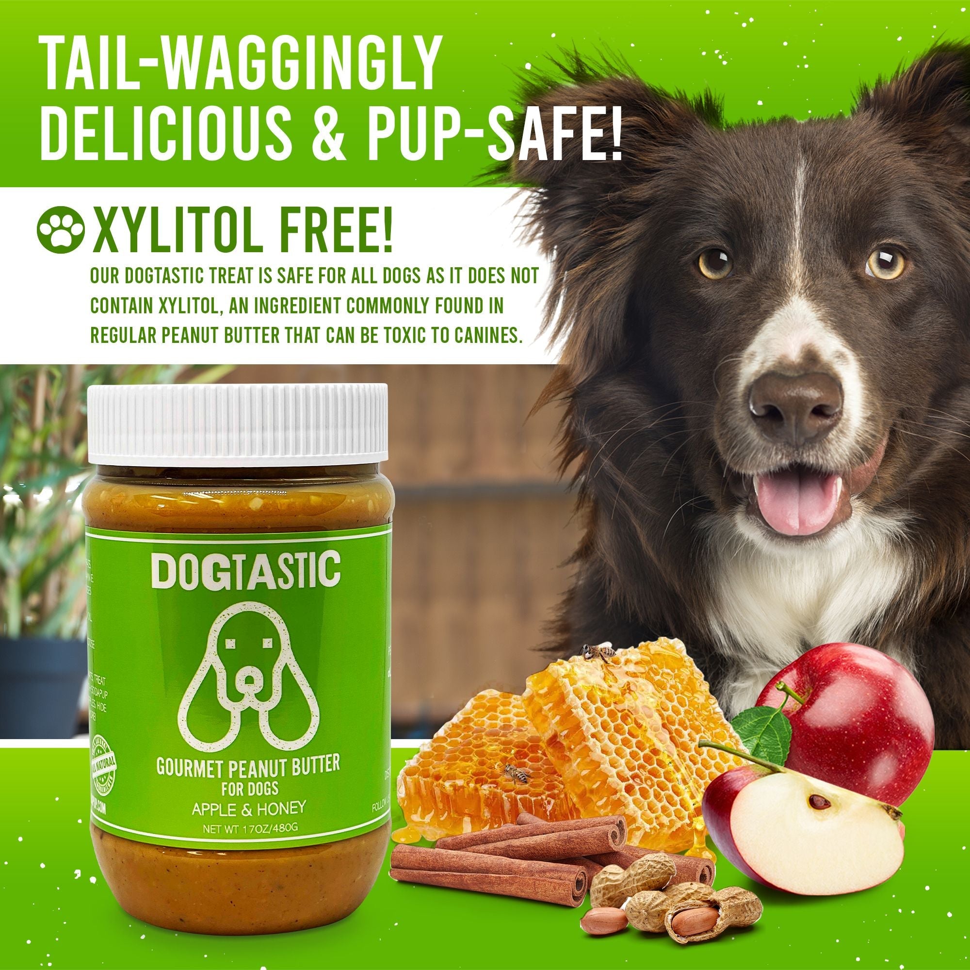 Dogtastic Peanut Butter for Dogs with Flax Seed - Xylitol-Free | USA Made